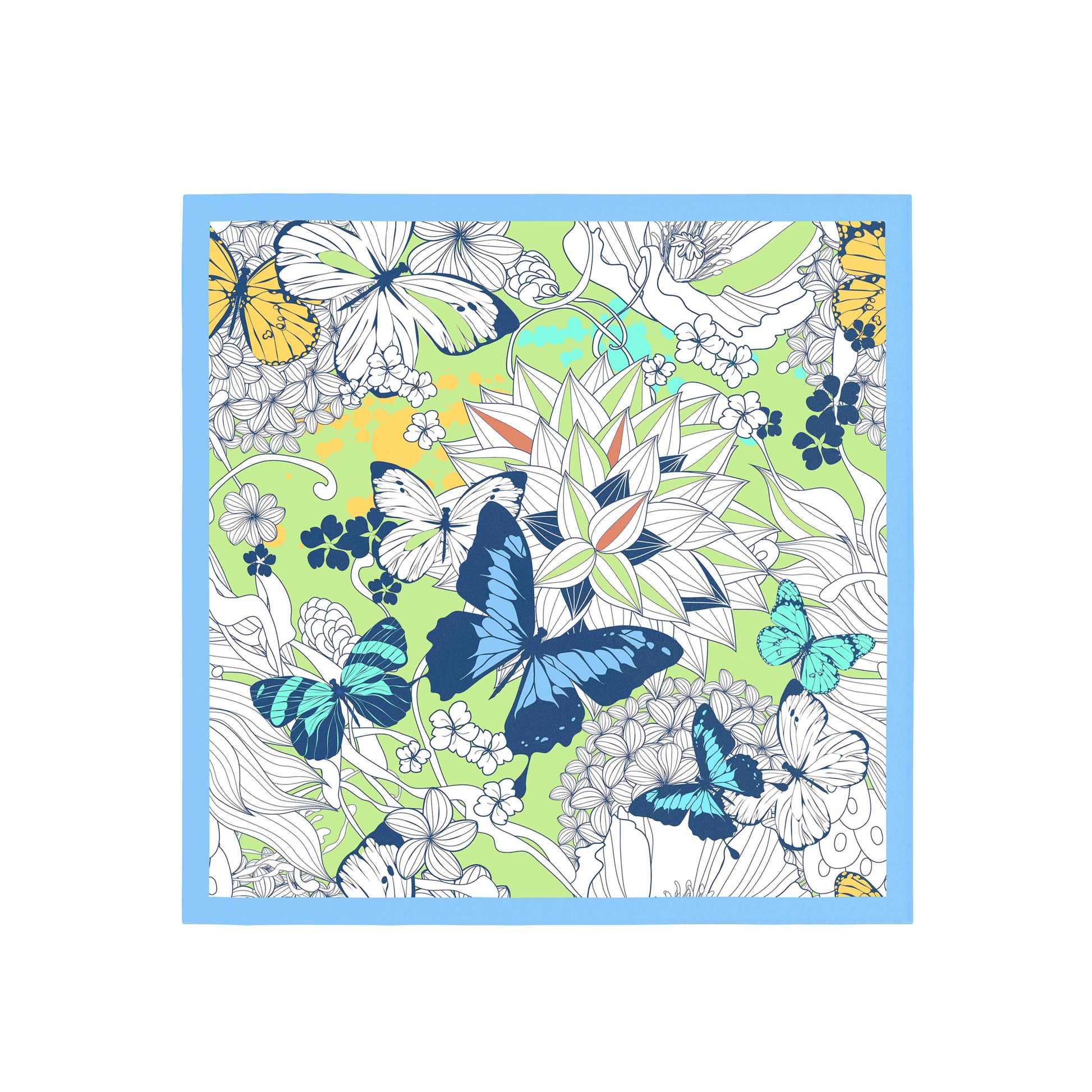 Coloring book page with butterfly and floral design on a blue border